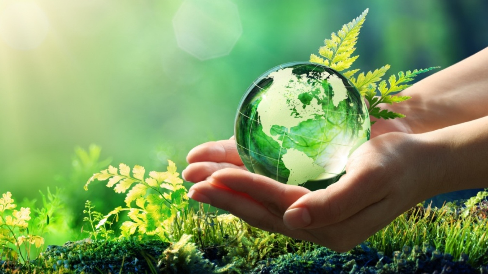 Природопользование и охрана окружающей среды